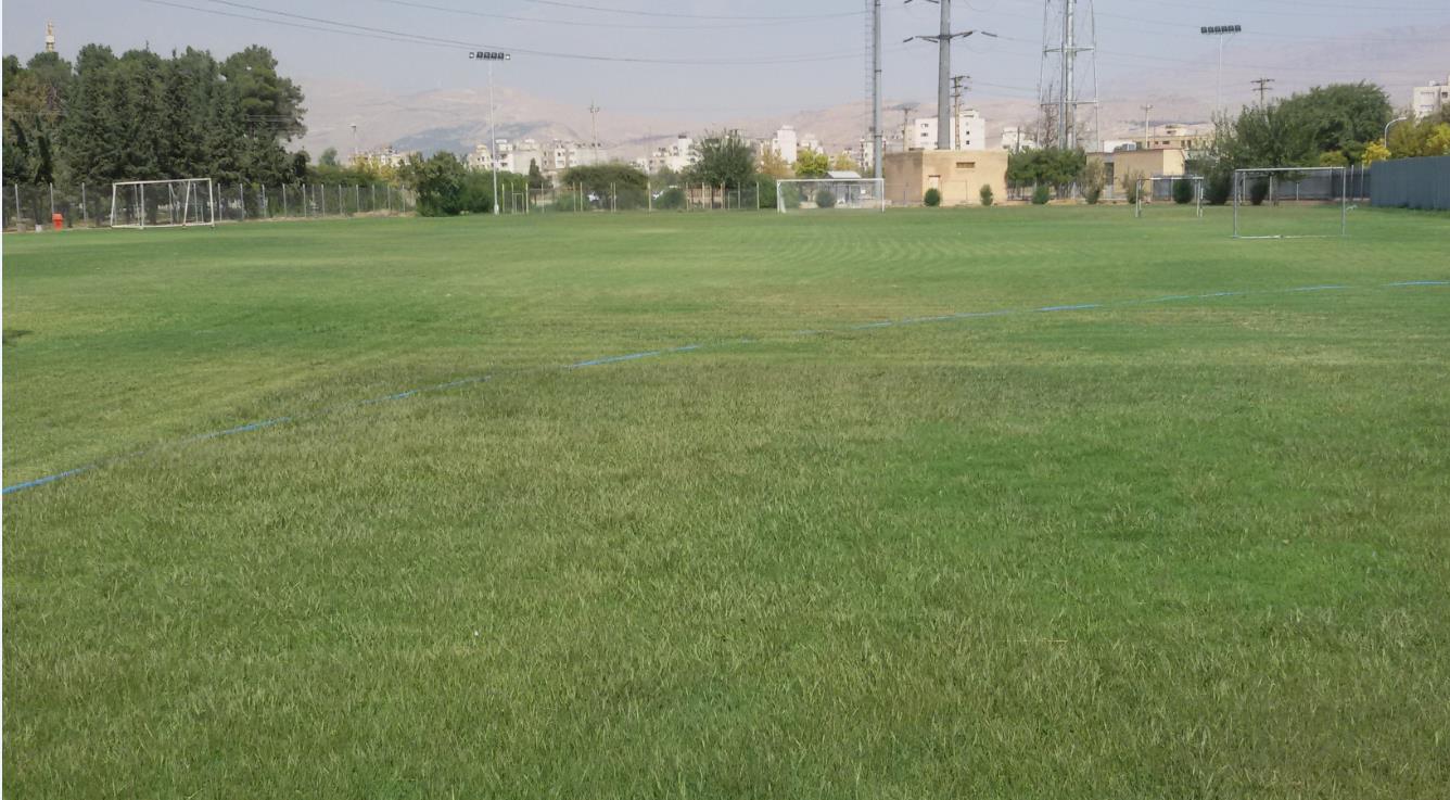 باشگاه زمین چمن روباز دانشگاه صنعتی شیراز در ستاو